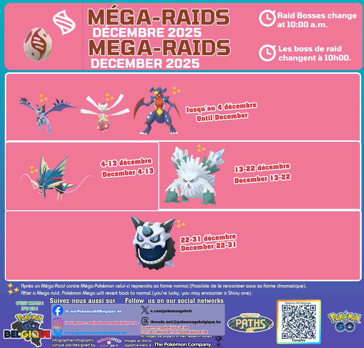 Mega-Raids